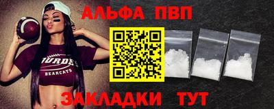 хмурый Кингисепп