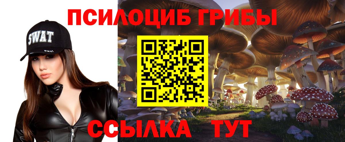 Галлюциногенные грибы GOLDEN TEACHER Бирск